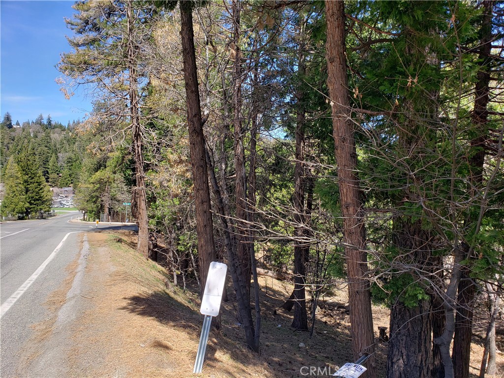 24155 San Moritz Drive Property Photo 12