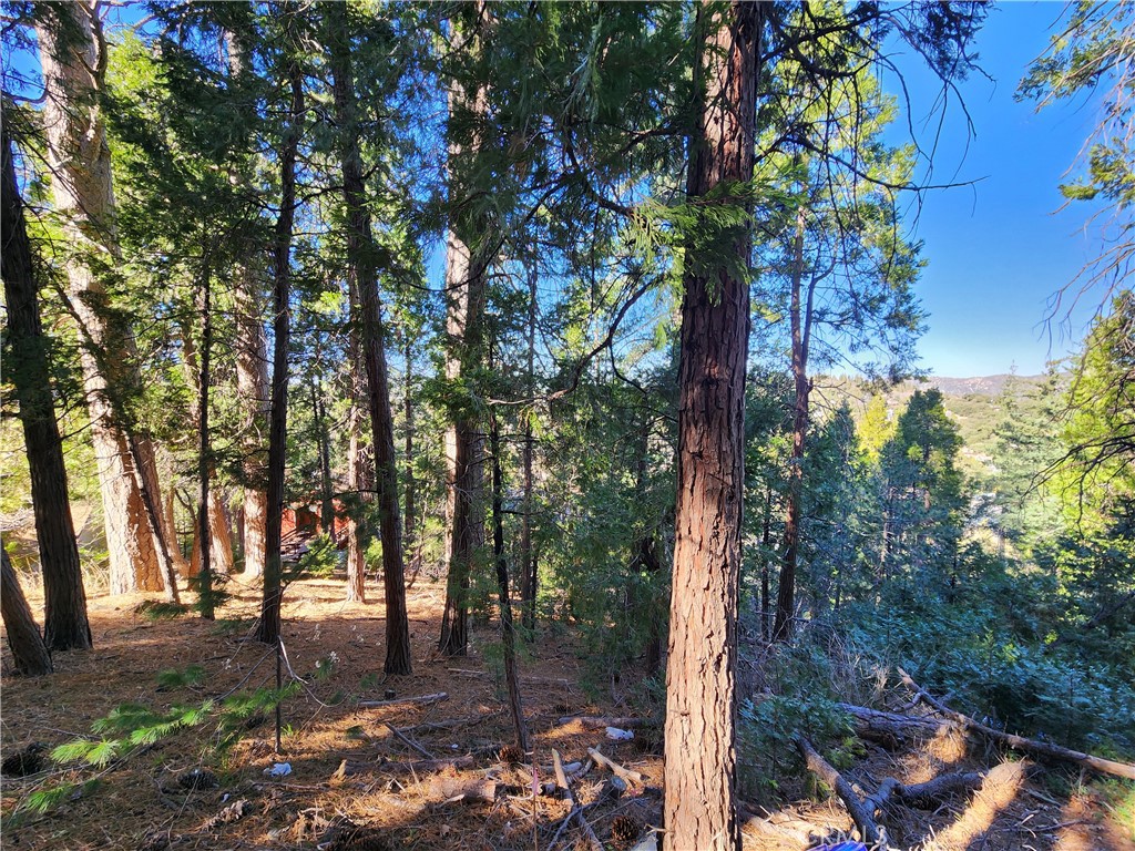 24200 Altdorf Property Photo 9