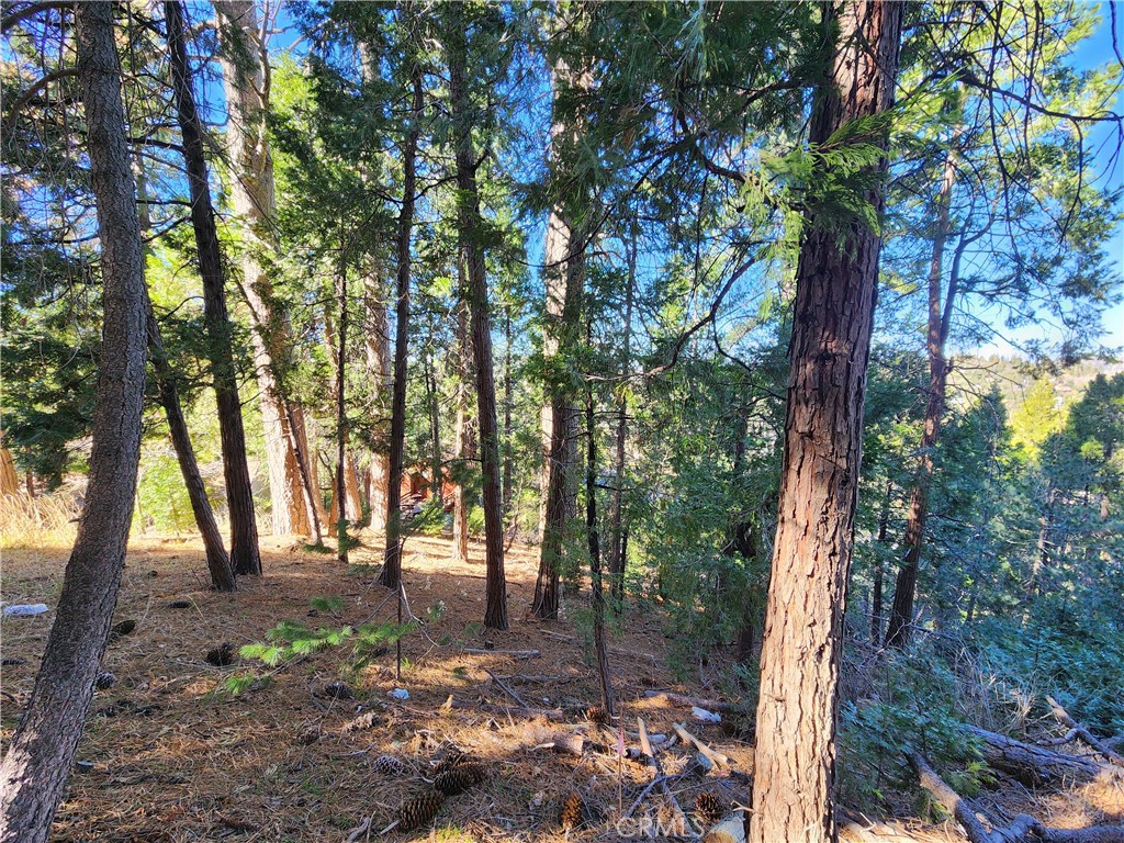 24200 Altdorf Property Photo 10