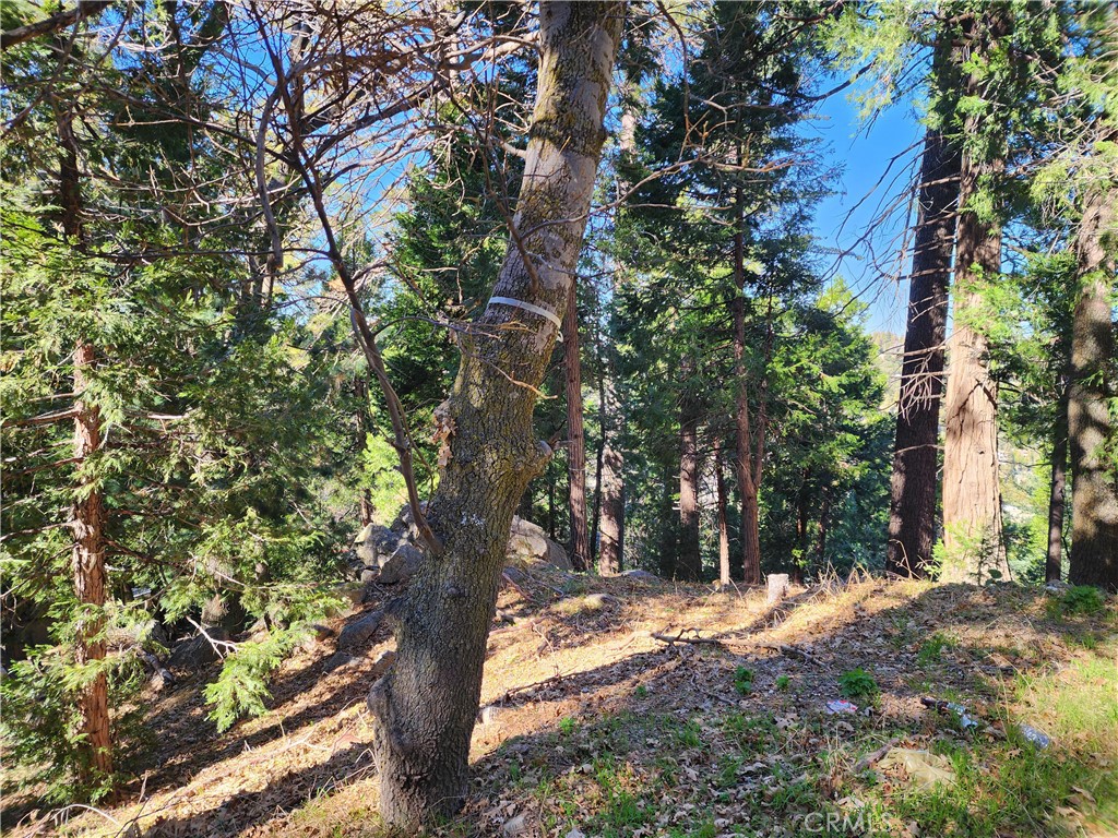24200 Altdorf Property Photo 23