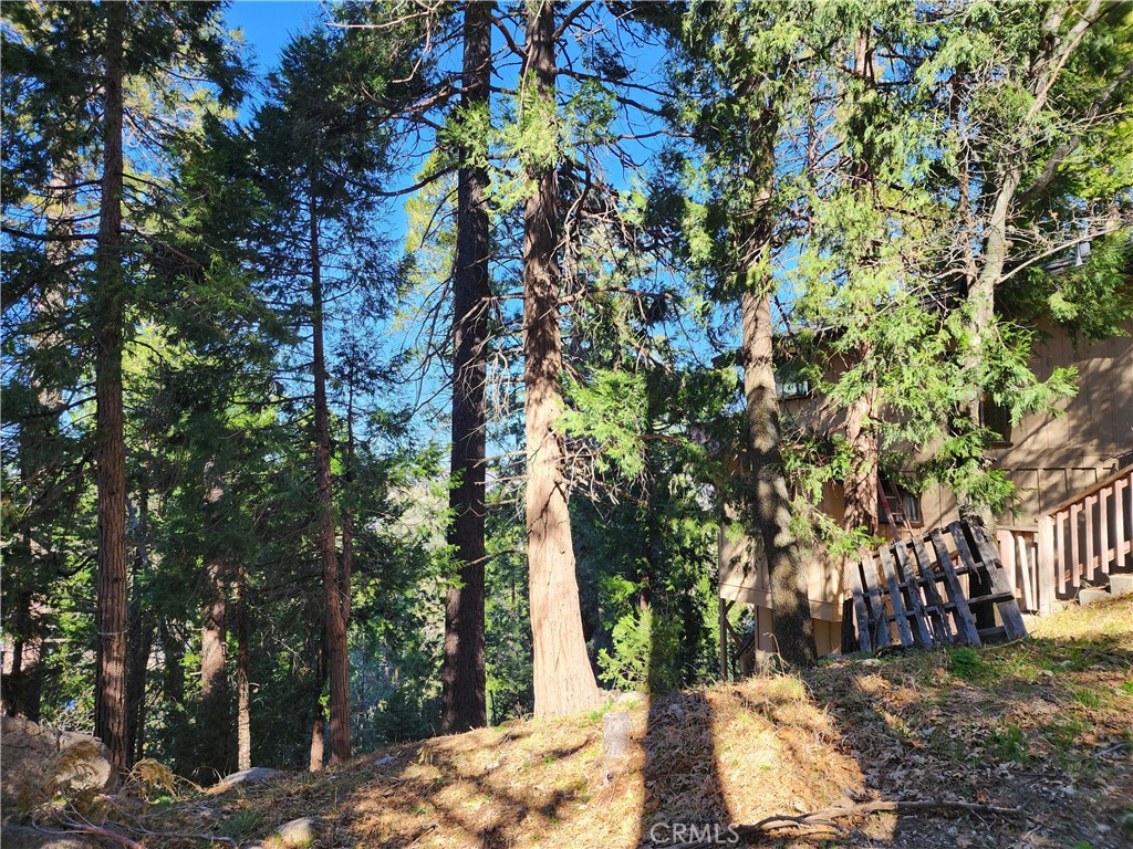 24200 Altdorf Property Photo 24