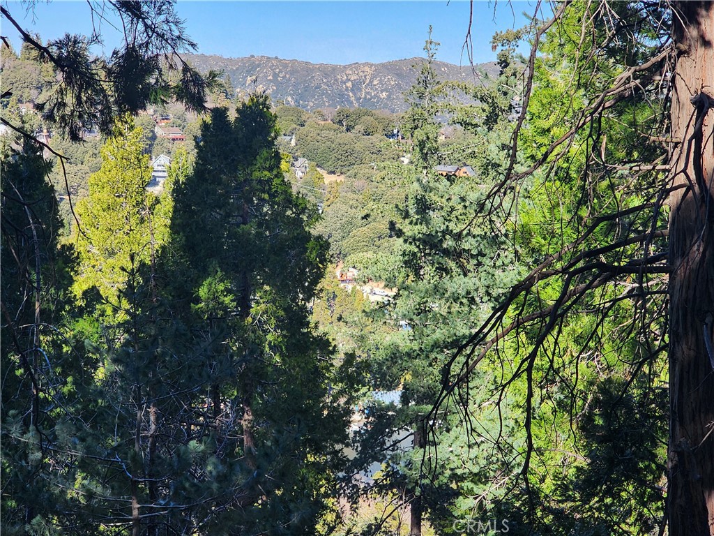 24200 Altdorf Property Photo 27