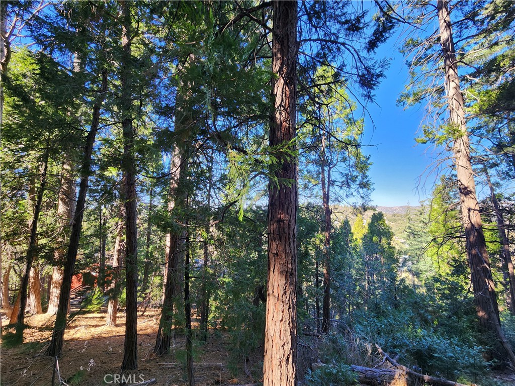 24200 Altdorf Property Photo 29