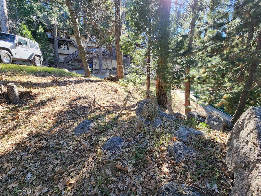 24200 Altdorf Property Photo 31