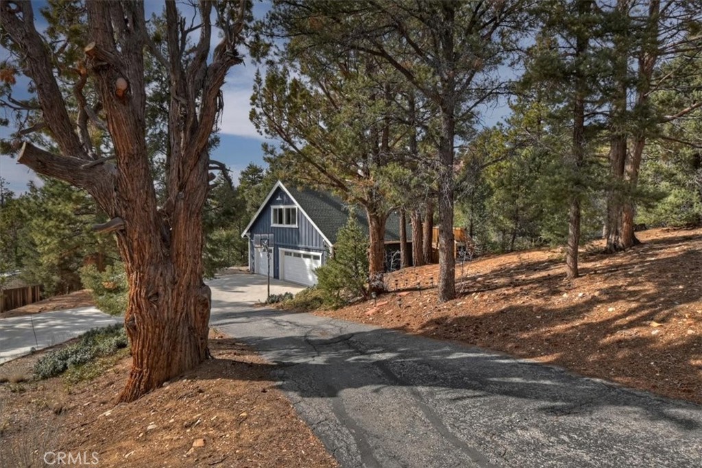 1051 Mound Property Photo 38