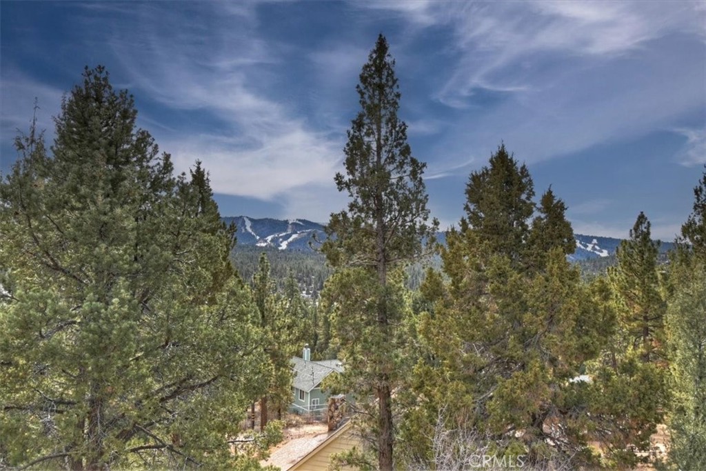 1051 Mound Property Photo 49