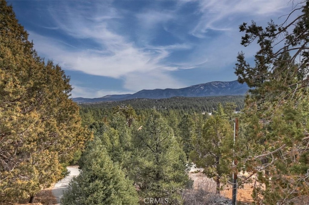 1051 Mound Property Photo 54