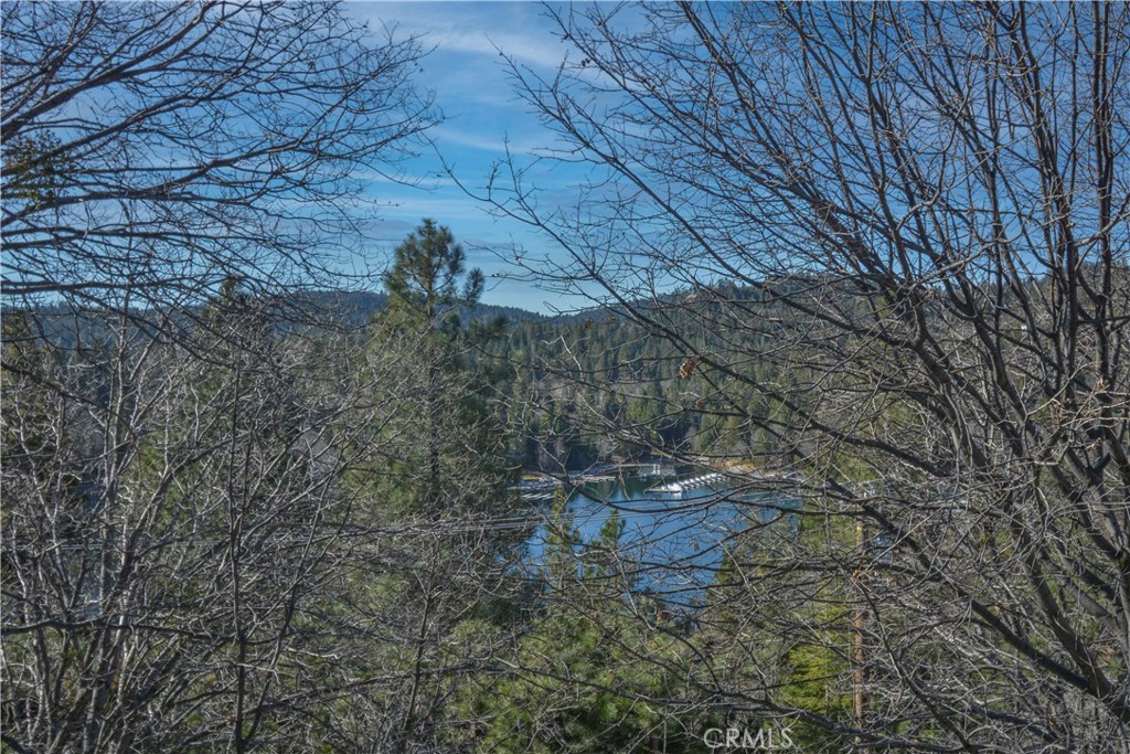 27788 West Shore Property Photo 9