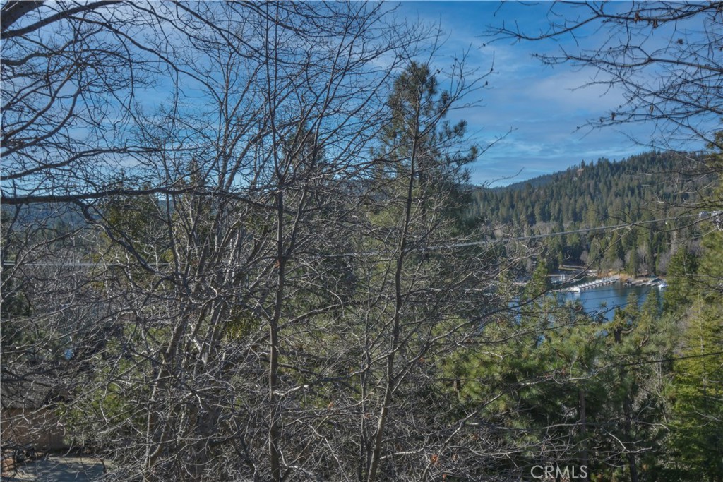 27788 West Shore Property Photo 22