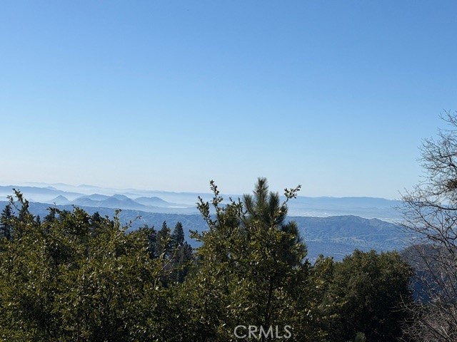 30509 Live Oak Property Photo 22