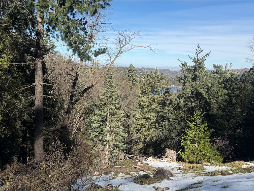 24989 Highland Property Photo 1