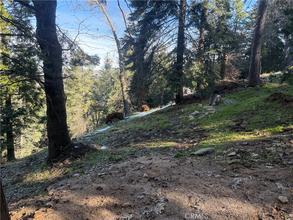 24989 Highland Property Photo 4