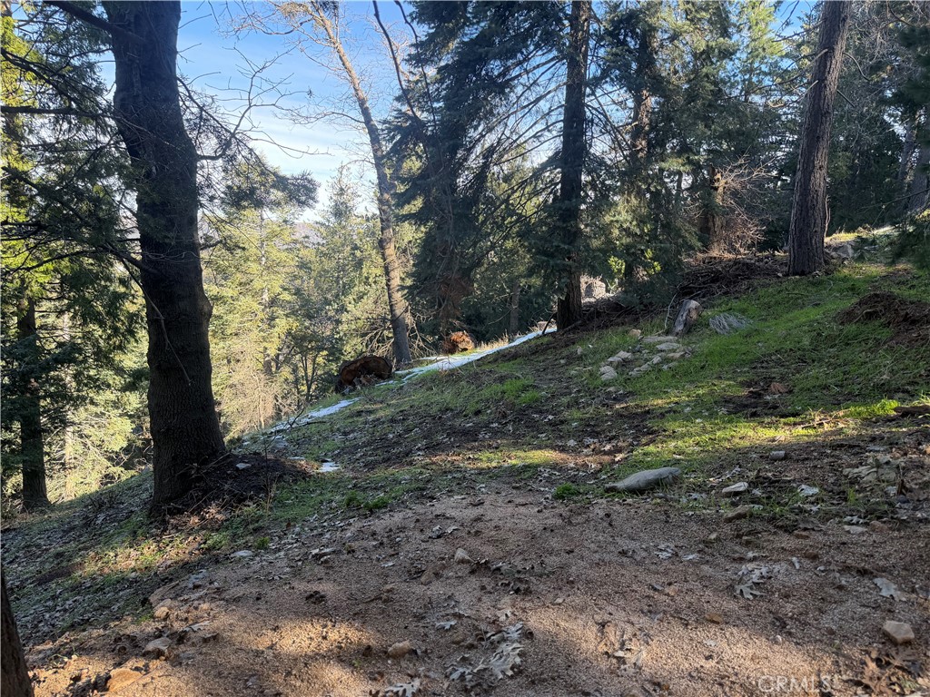 24989 Highland Property Photo 4
