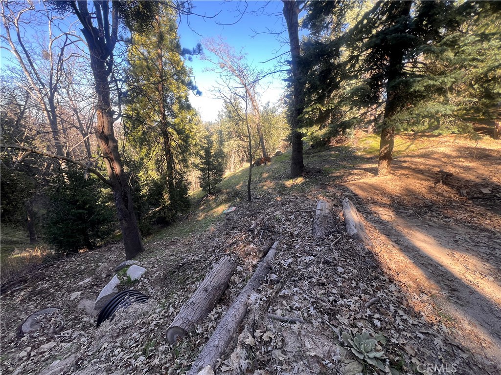 24989 Highland Property Photo 5