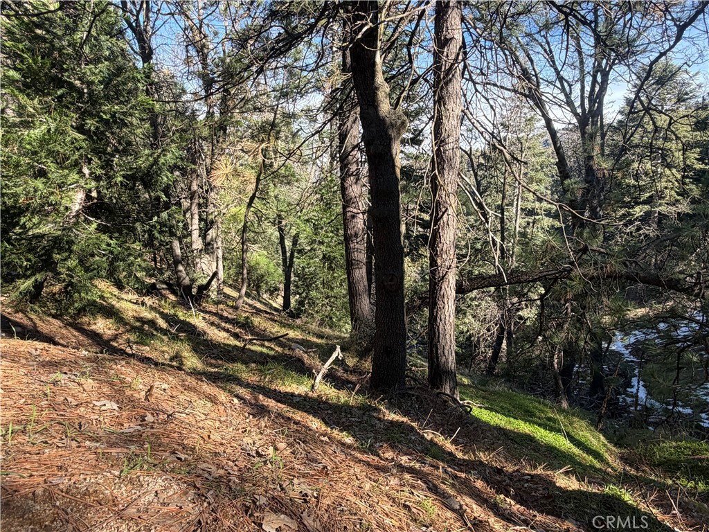 24989 Highland Property Photo 7