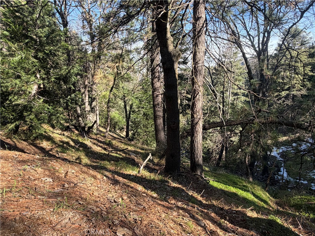 24989 Highland Property Photo 7