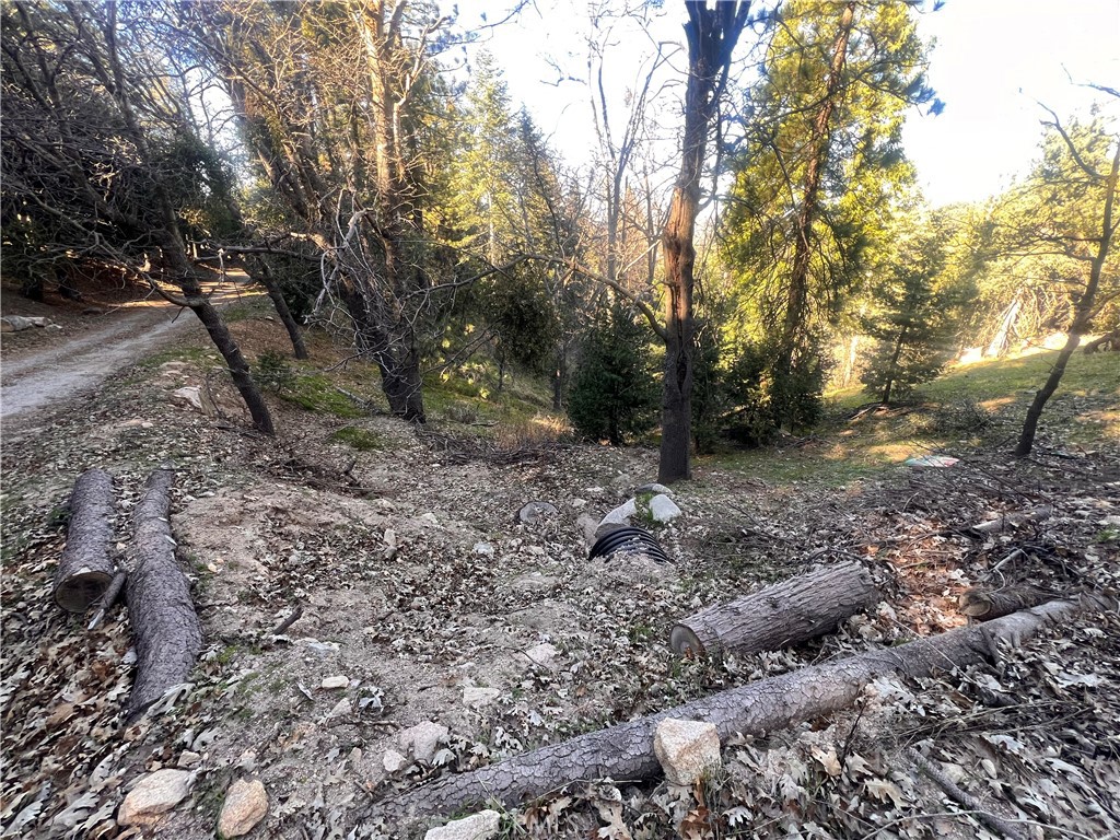 24989 Highland Property Photo 20