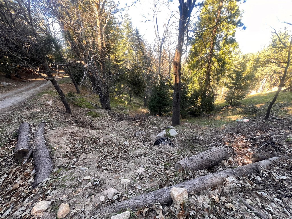 24989 Highland Property Photo 20
