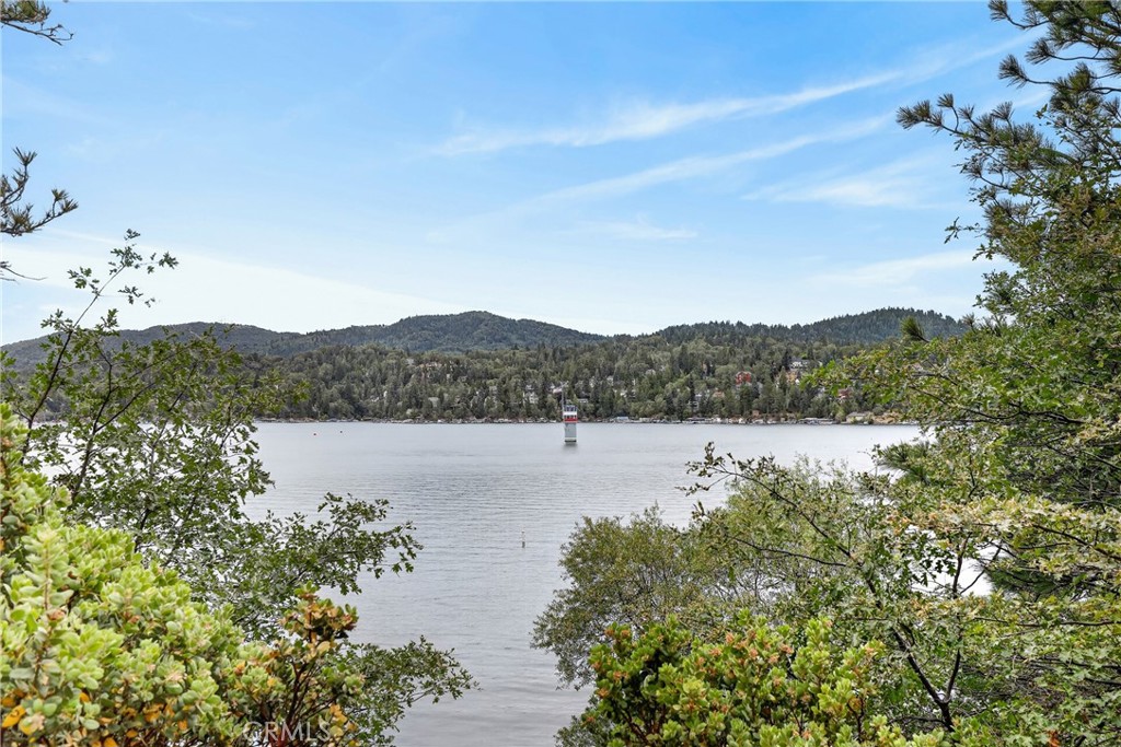 28641 North Shore Road Property Photo 9