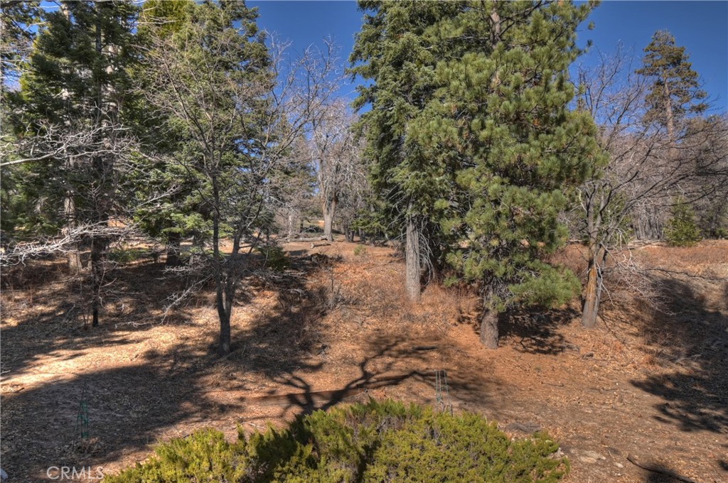 33874 Green Valley Lake Road Property Photo 24