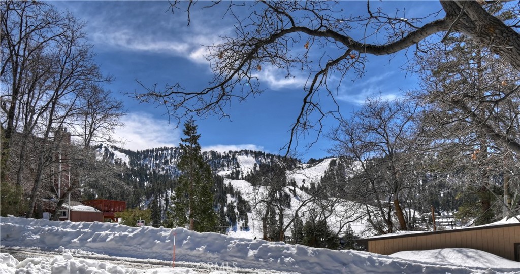 43291 Shasta Property Photo 41