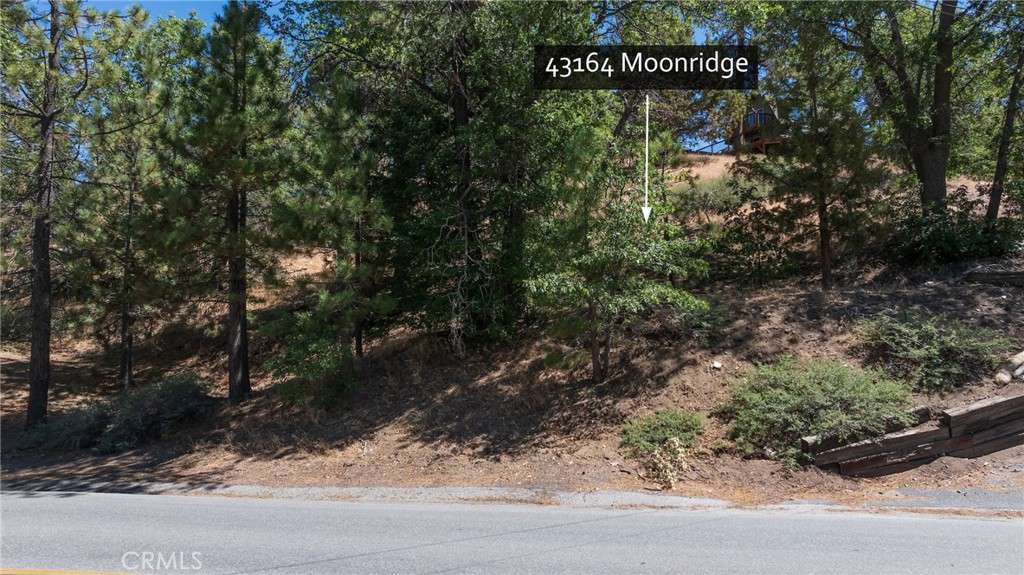 43164 Moonridge Property Photo 8