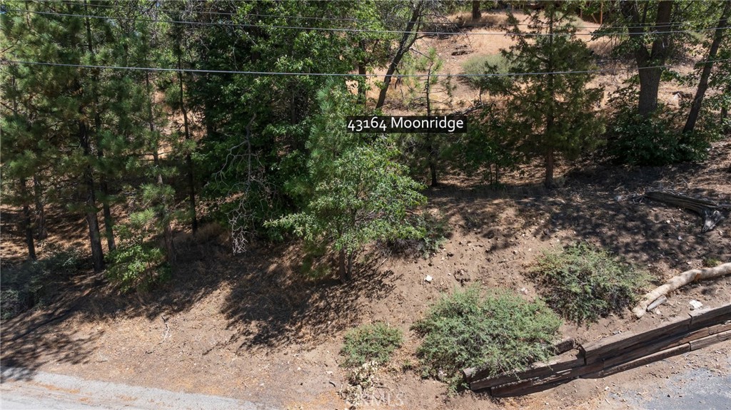 43164 Moonridge Property Photo 9