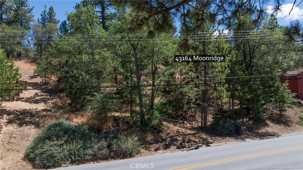 43164 Moonridge Property Photo 10