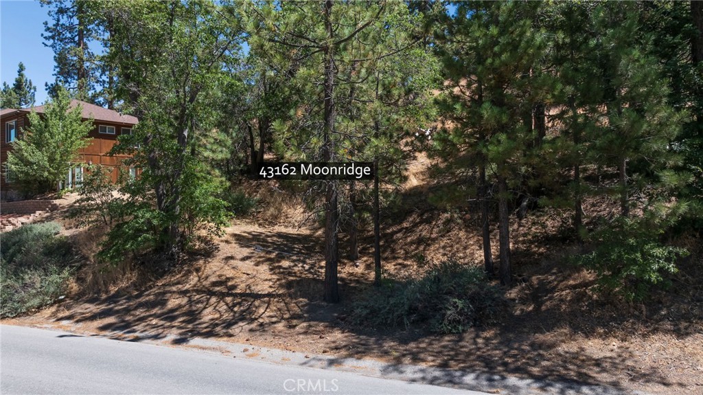 43162 Moonrige Road Property Photo 8