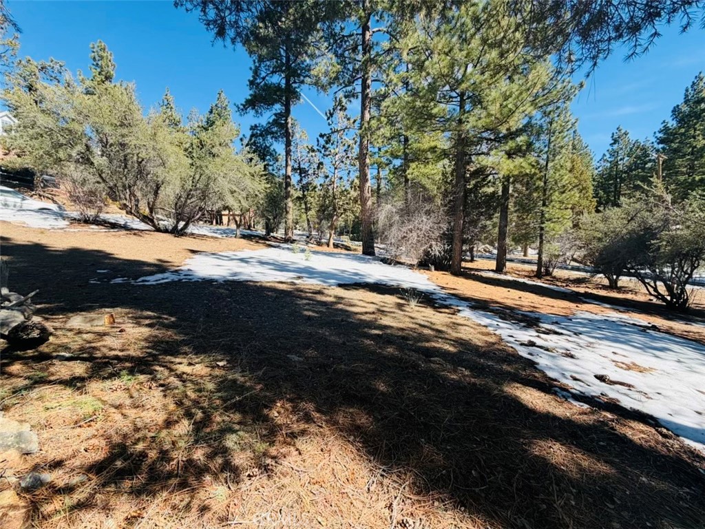 808 Antelope Mountain Drive Property Photo 1
