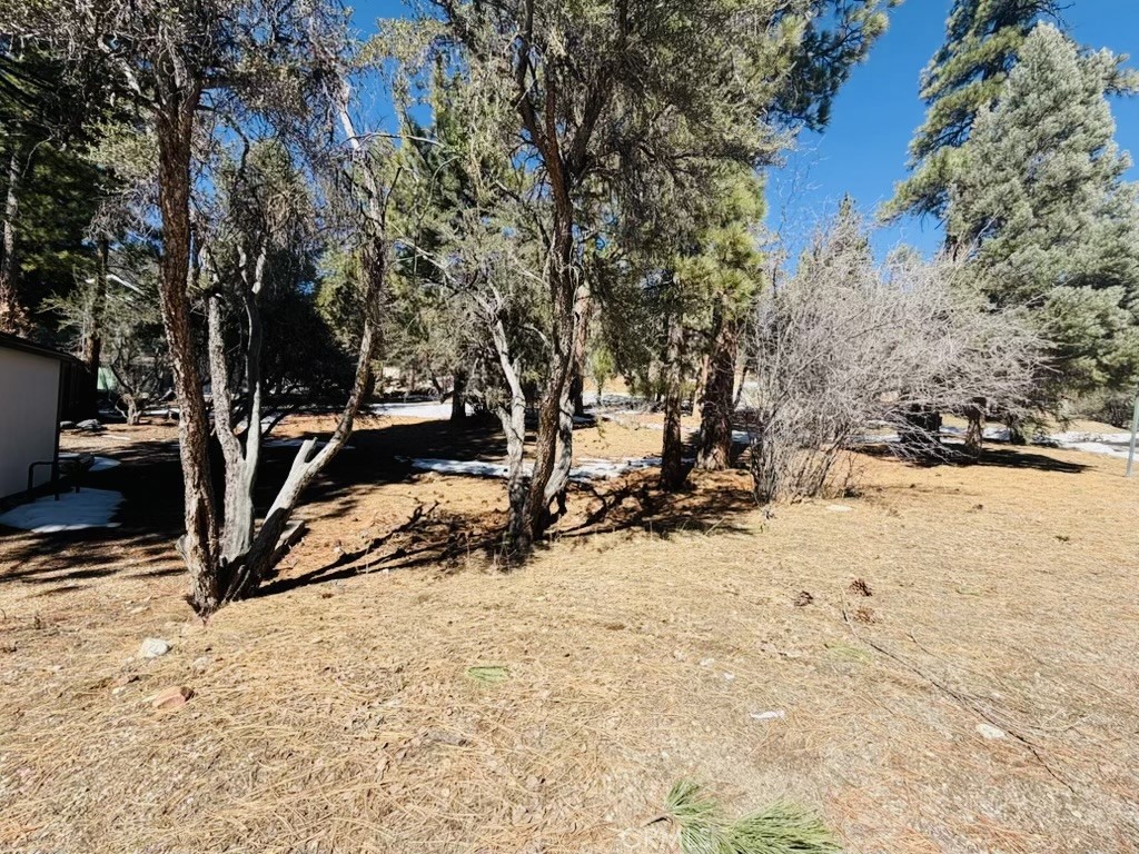 808 Antelope Mountain Drive Property Photo 3