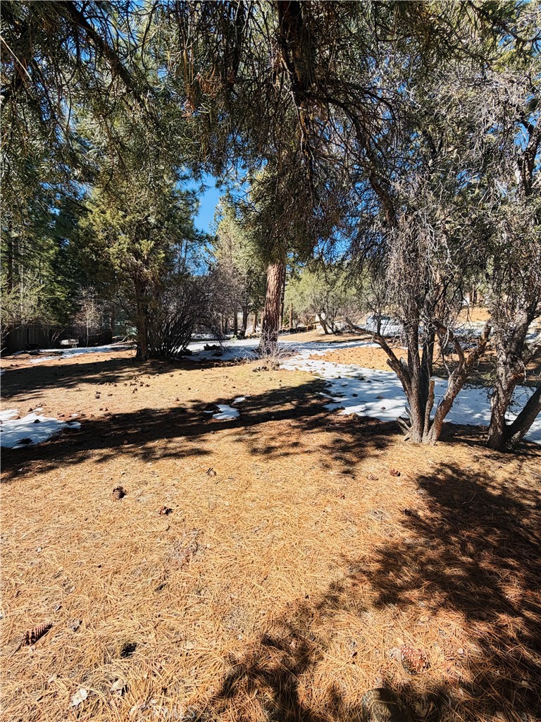 808 Antelope Mountain Drive Property Photo 4