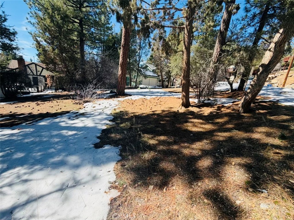 808 Antelope Mountain Drive Property Photo 5