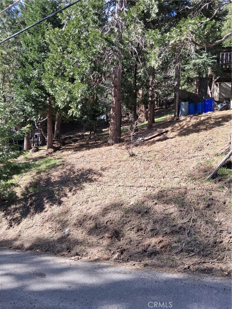 0 Bernard Drive Property Photo 2