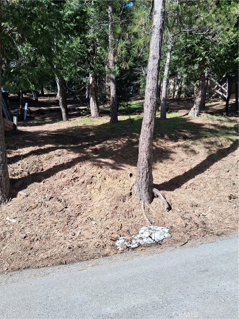 0 Bernard Drive Property Photo 3