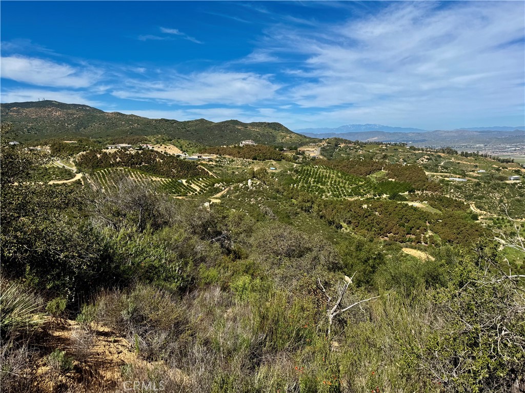 37685 El Tigre Property Photo 5
