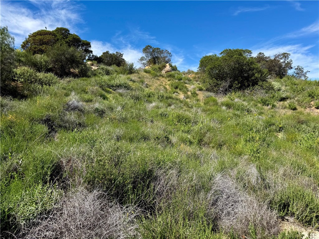 37685 El Tigre Property Photo 6