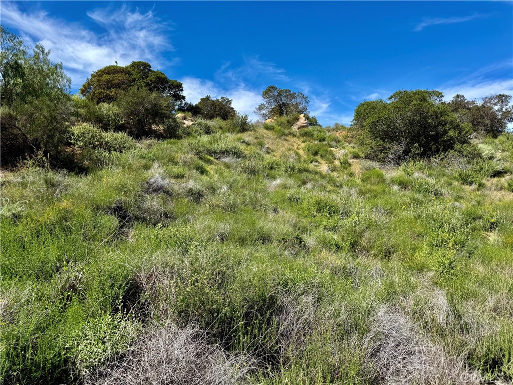 37685 El Tigre Property Photo 7