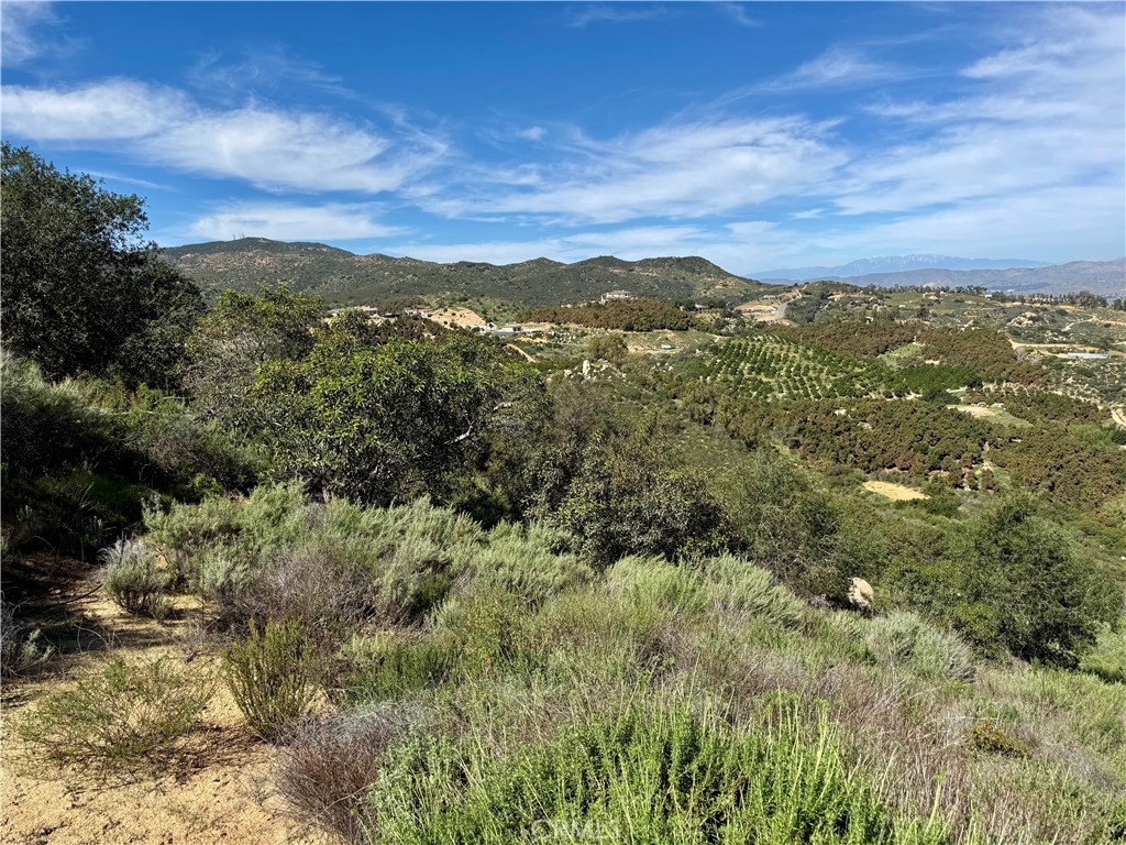 37685 El Tigre Property Photo 16