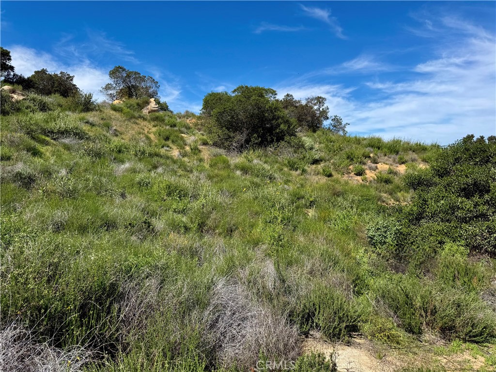37685 El Tigre Property Photo 18
