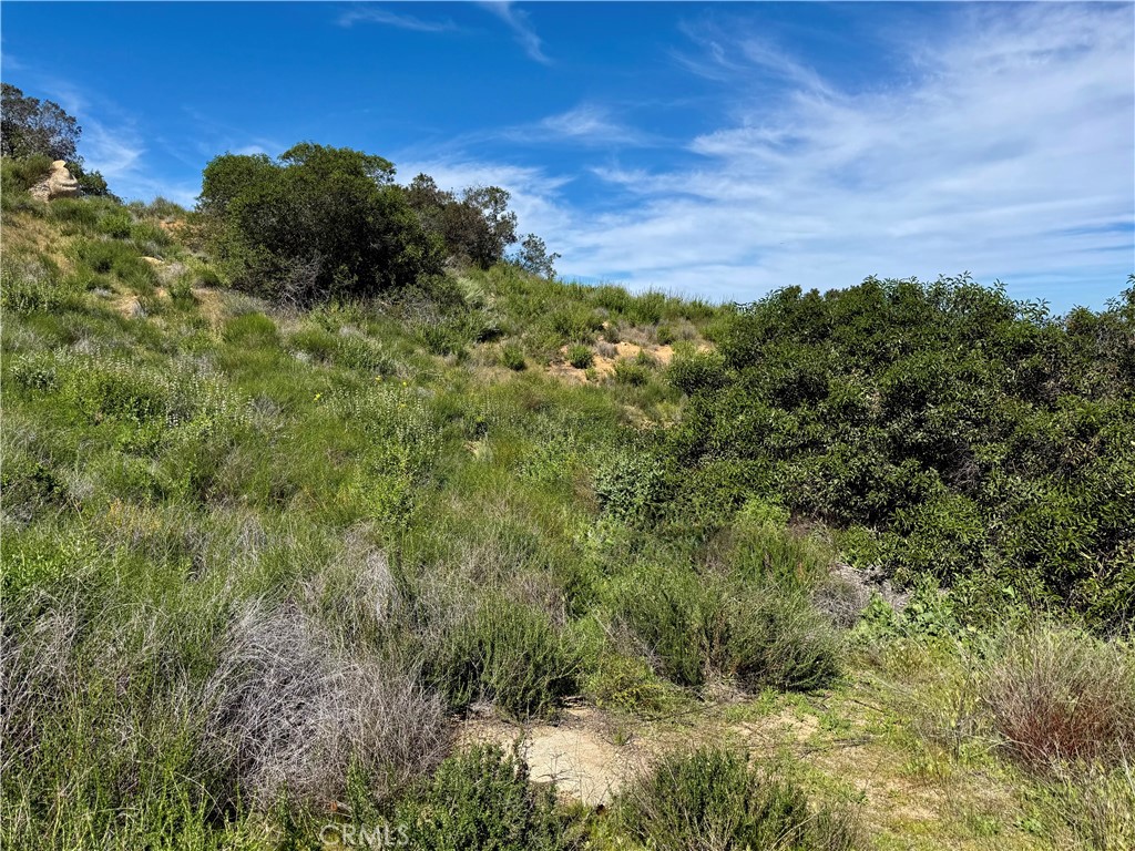 37685 El Tigre Property Photo 20