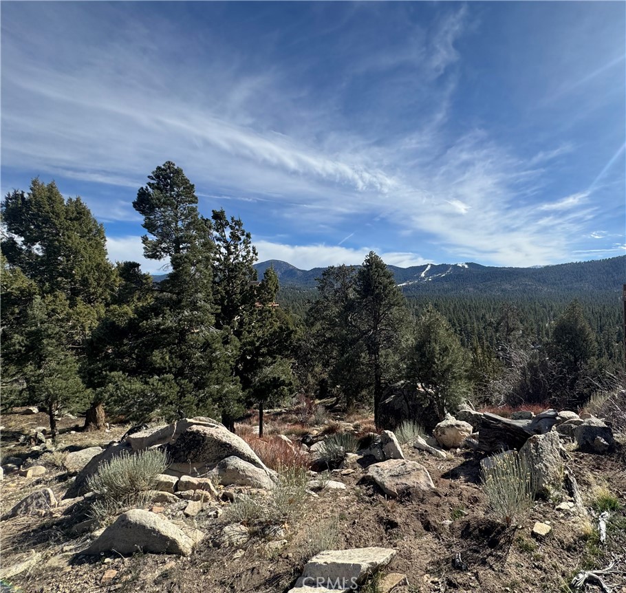 42535 Pegasus Way Property Photo 1