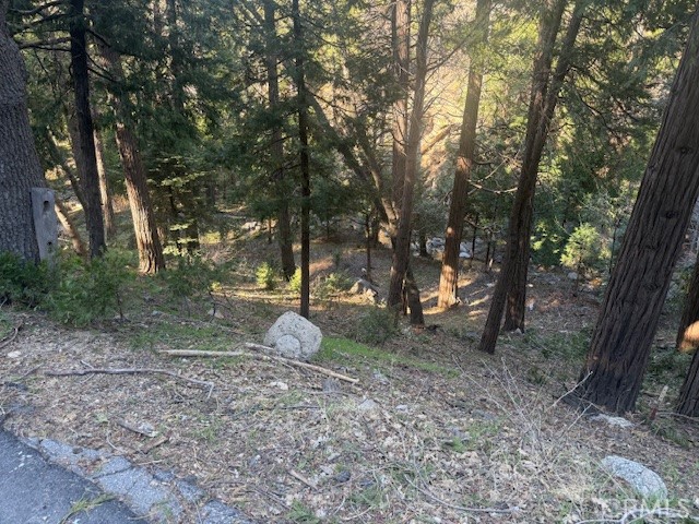 0 Valle Property Photo 2