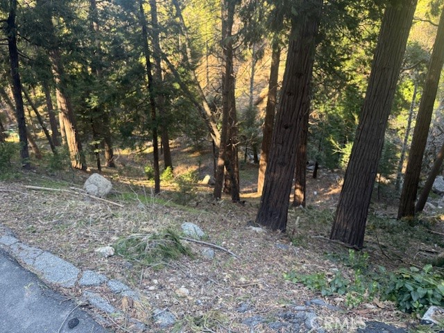 0 Valle Property Photo 4