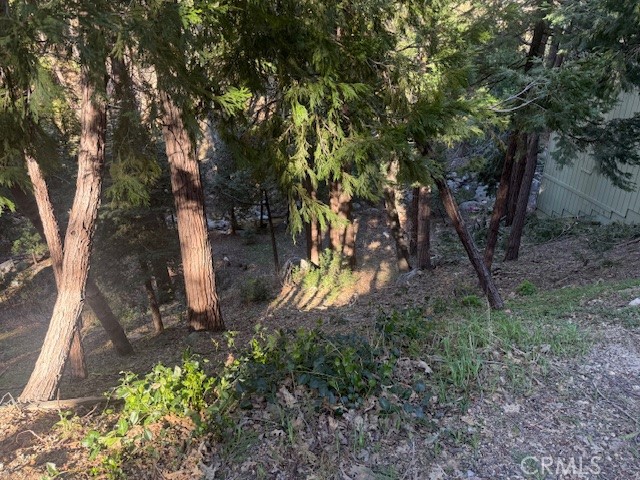 0 Valle Property Photo 5