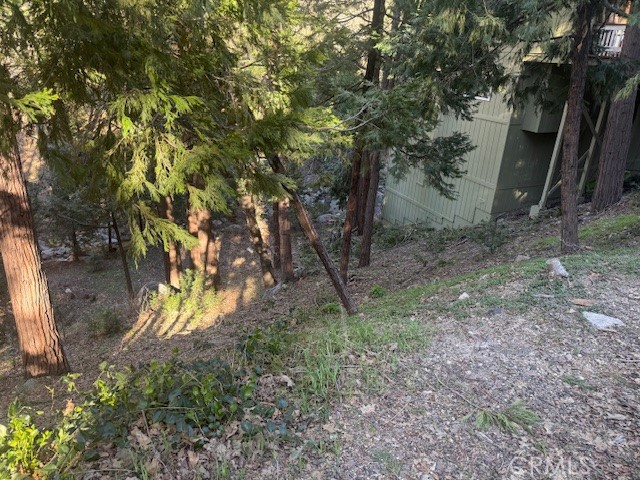 0 Valle Property Photo 6