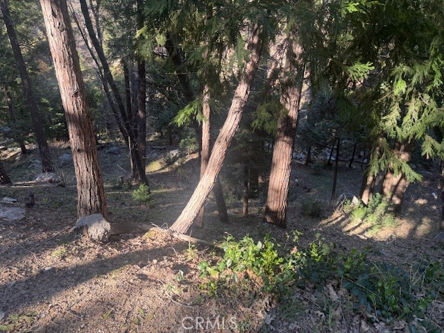 0 Valle Property Photo 7