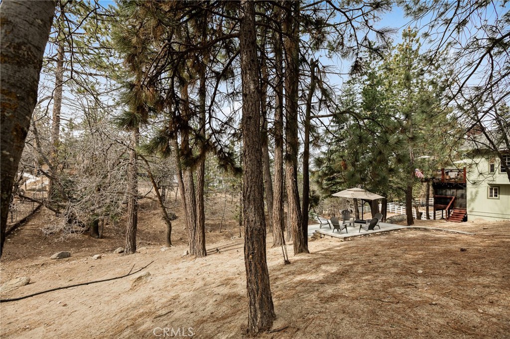 32425 Snowshoe Property Photo 39