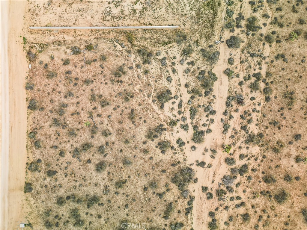 60449 Belfair Property Photo 4