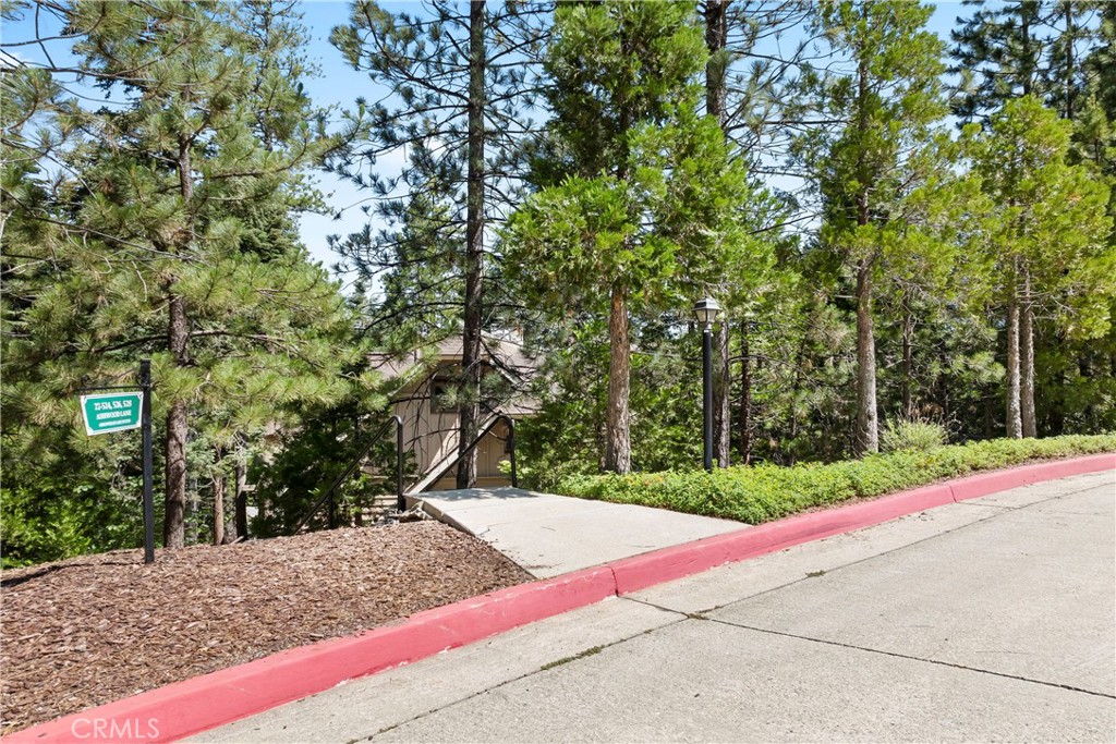 27528 Ashwood Lane Property Photo 41